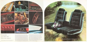 1970 Ford Thunderbird Mailer-10-11.jpg